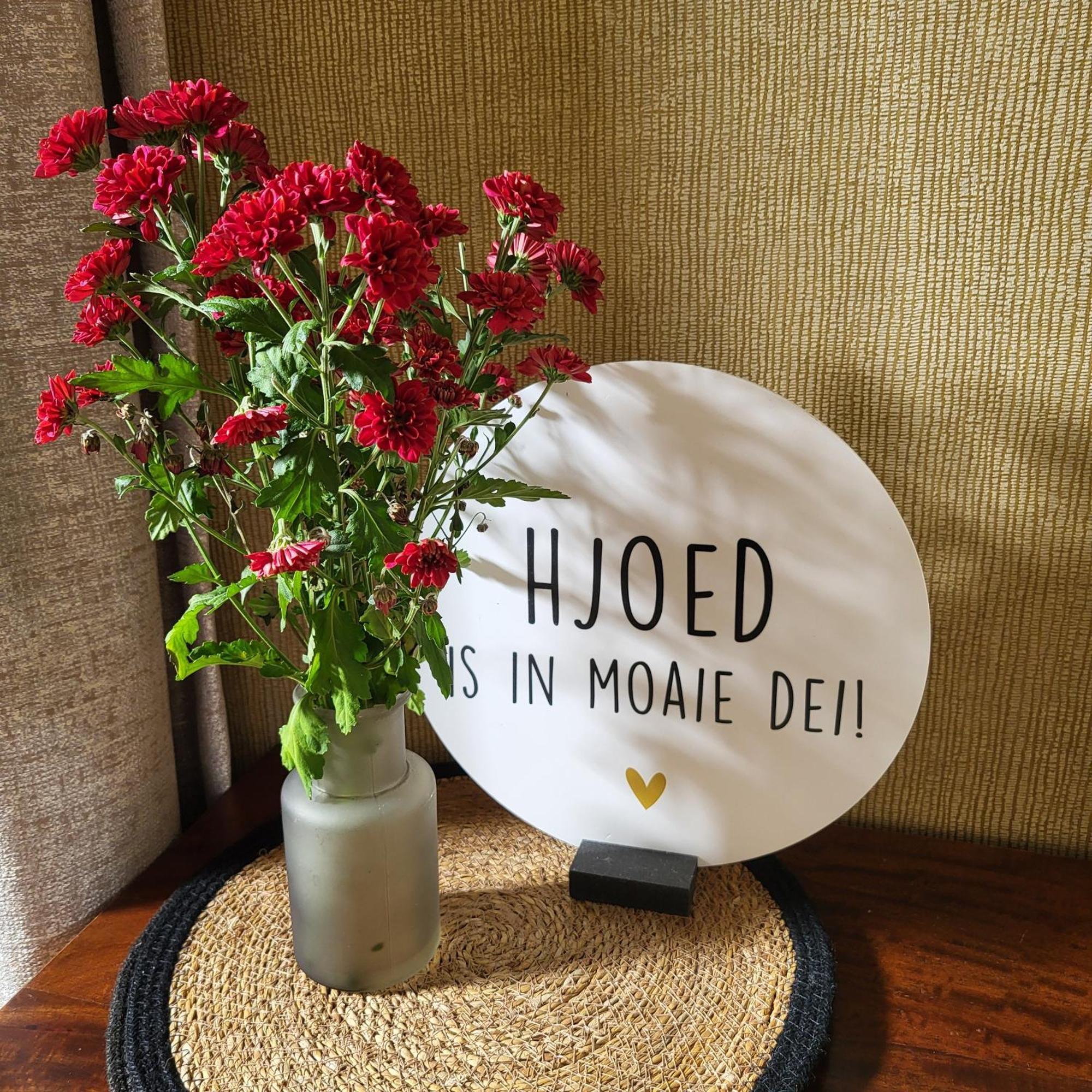 Burgum Boukje Har Bed En Brochje Bed & Breakfast エクステリア 写真